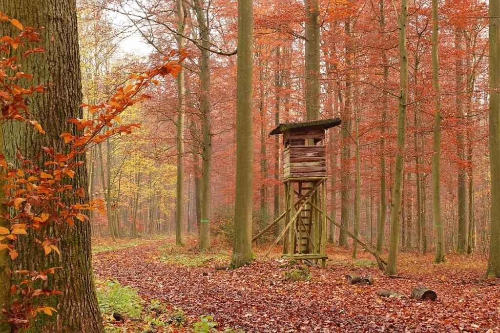Quand finit la chasse ?